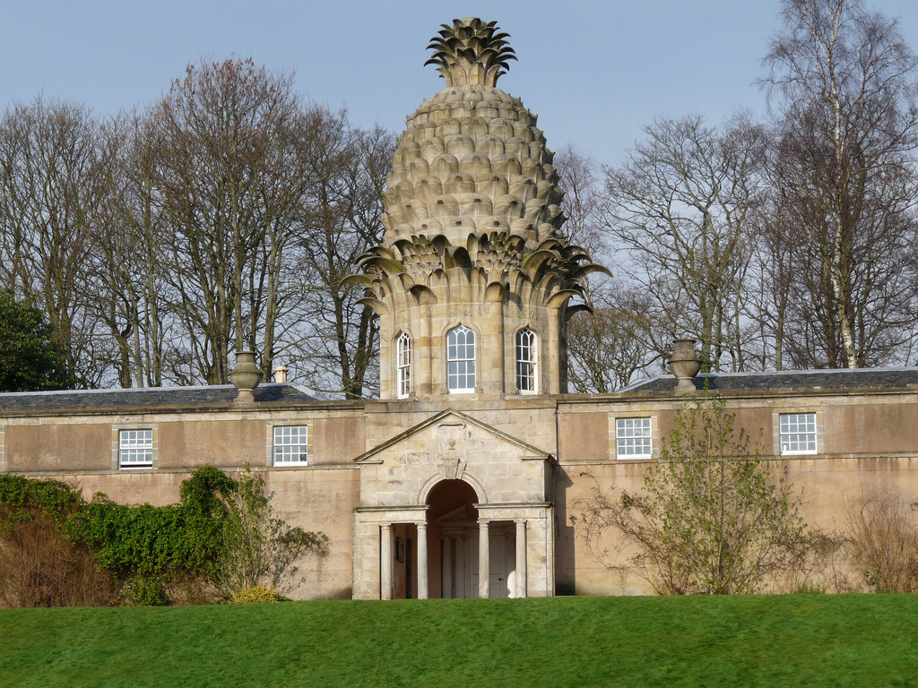 3254121578_64726c428c_b