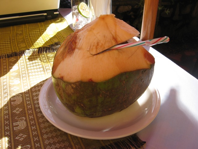Coconut_Water2